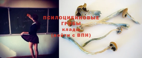 прущие крисы Михайловск