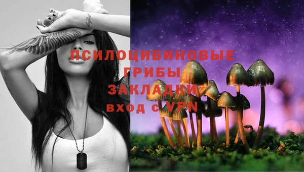 прущие крисы Михайловск