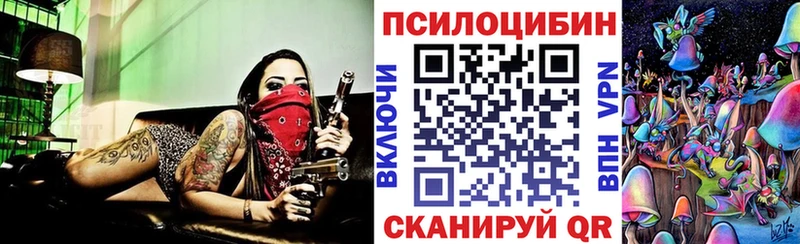 Купить  Строитель  Псилоцибиновые грибы MAGIC MUSHROOMS 